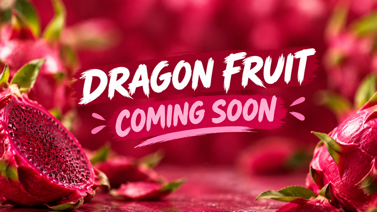 RED DRAGON FRUIT